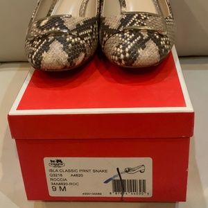 Coach Size 9 Isla Classic Print Snake Shoes